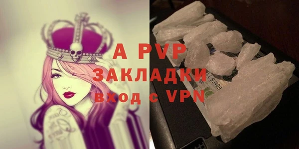 стаф Арсеньев