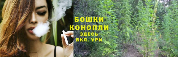гашик Беломорск