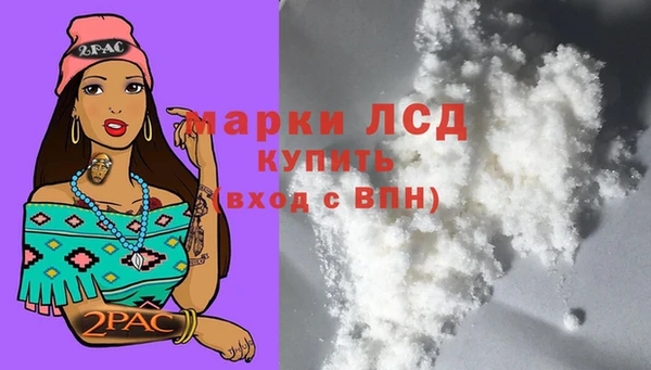 стаф Арсеньев