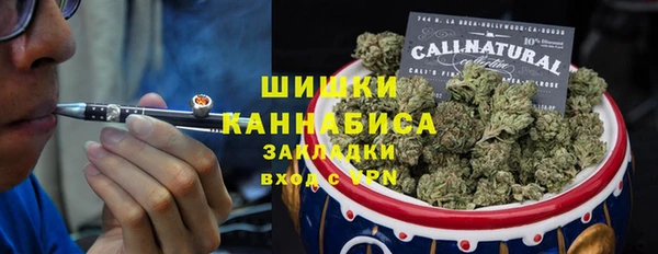 стаф Арсеньев