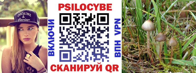 Галлюциногенные грибы Magic Shrooms  купить   Мурманск 